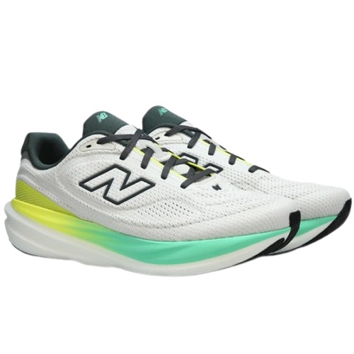 ���߶��� 1080 V15 2E M10808MP NBPFGS103M