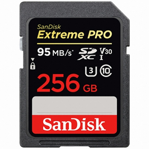 Sandisk SD Extreme Pro 2017 (256GB)_이미지