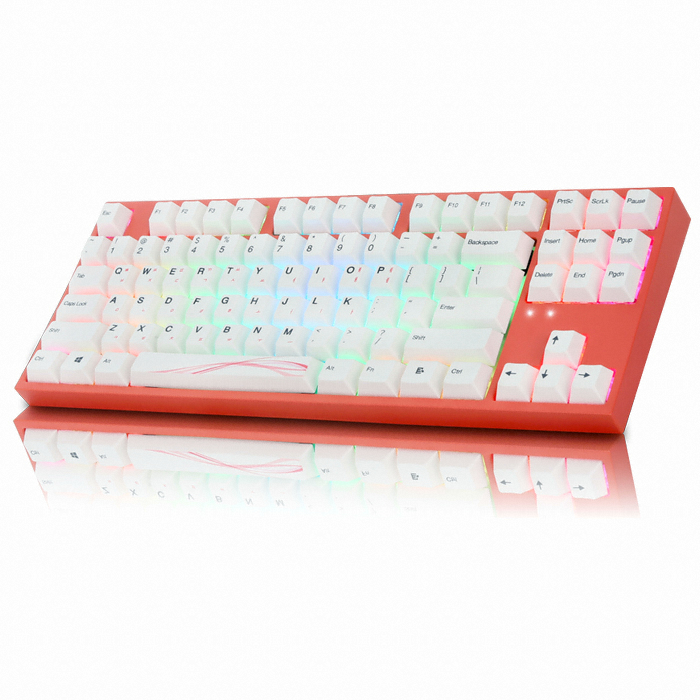 COX CARAVEL ����Ʈ�� ��ü�� RGB �����ȭ PBT �����ڶ�(����)