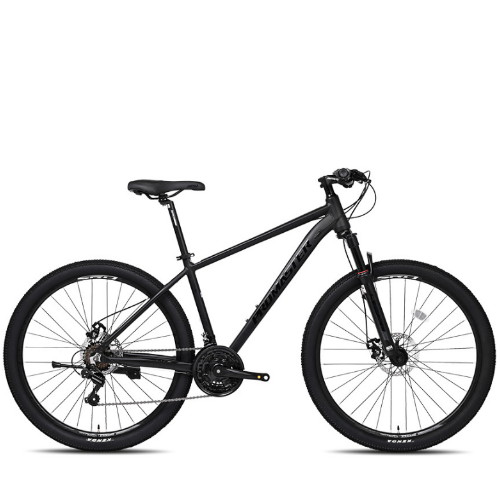MTB 인기순위
