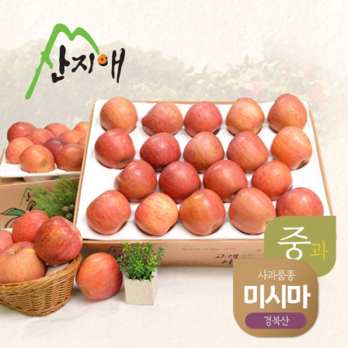 산지애 알뜰 못난이사과 중과 4.5kg [2개]