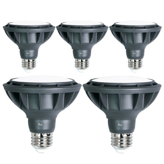 LED PAR30 확산형 레일등 램프 주광색 15W