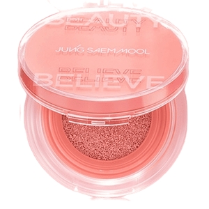 정샘물뷰티 정샘물 아티스트 쿠션 블러쉬 4g (1개)