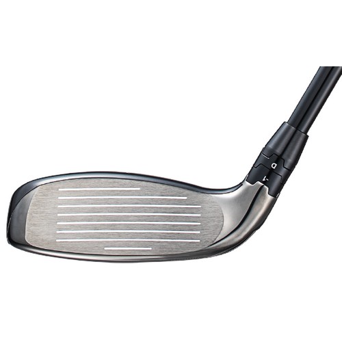 Ķ������ ����� ���̺긮��