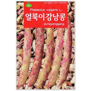 청농종묘 얼룩이강낭콩 씨앗 70립_이미지