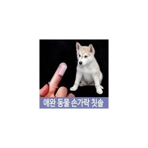 애완동물 손가락 칫솔 치아 관리