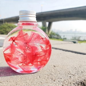 데코지엔 바보사랑 원형 분홍 수국 하바리움 만들기 패키지 DIY 11773726_이미지