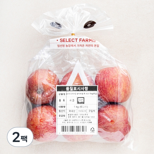 농업회사법인디에스푸즈 셀렉트팜 GAP A 사과 6과 소과 1kg (2개)