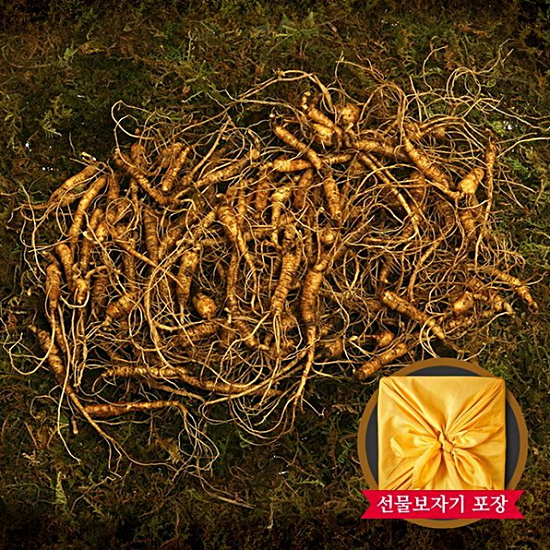 명가일품 명가천삼 강원도 토종 산양삼 5~6년근 200g