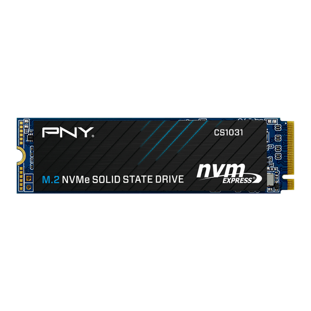 PNY CS1031 Gen3 M.2 NVMe ���̾���