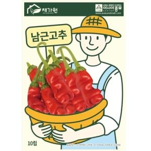 아시아종묘 고추씨앗종자 남근고추 10립 강근09고추 피터고추_이미지