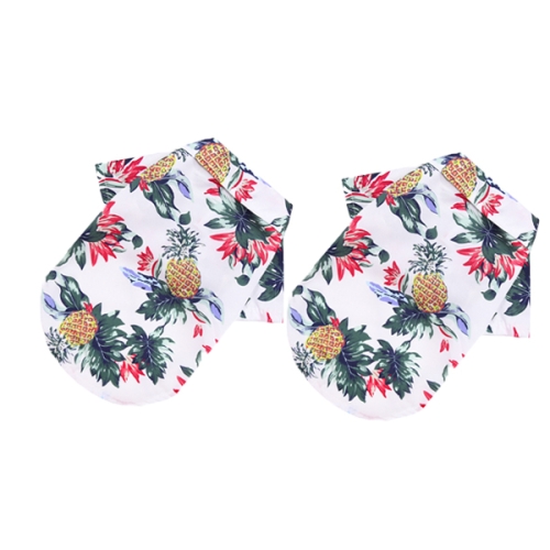 [�Ҹ�] 1+1 �Ͽ��� ��Ÿ�� �ְ� ���� ���̼��� ���ξ��� ����