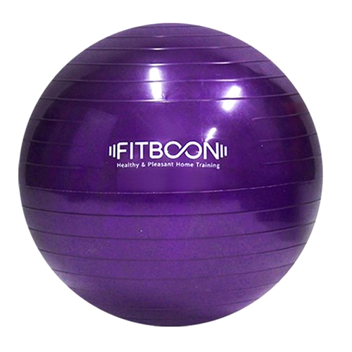 한새 핏분 짐볼 (30cm)