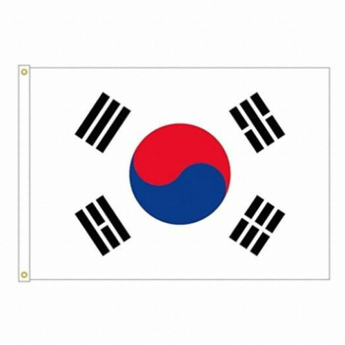 완창국기사 태극기 100x150 (1개)_이미지