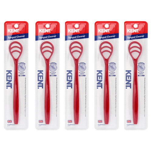 켄트 혀클리너 (5개)