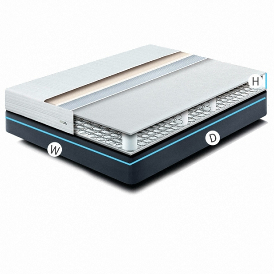 ������Ÿ �Ŀ� ���ڽ����� ��Ʈ���� SS