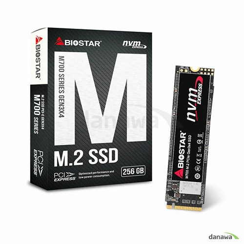 BIOSTAR M700 M.2 NVMe (256GB)