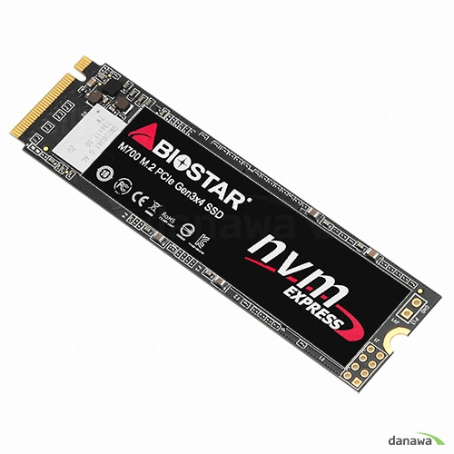 BIOSTAR M700 M.2 NVMe (256GB)_이미지
