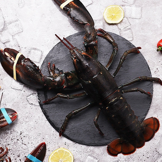 마산푸드 바다자리 활 랍스터 500g내외 (1개)_이미지