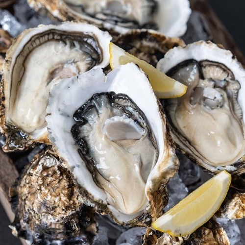 자연맛남 통영 햇 굴 하프셀 1단 23~26미 1.2kg내외 (1개)_이미지