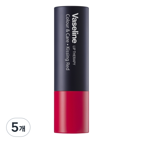 바세린 립 테라피 컬러 앤 케어 4.2g (5개)_이미지