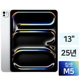 APPLE 2025 iPad Pro 13 M5 Cellular 해외구매