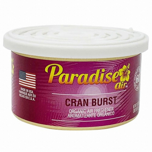 파라다이스에어 오가닉 캔 차량용 방향제 (크랜버스트)