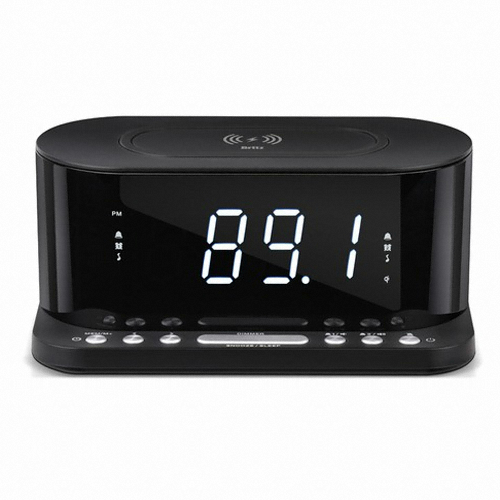 Britz 브리츠인터내셔널 BZ-Q110CR (정품)