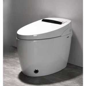 원피스 양변기 일체형 변기