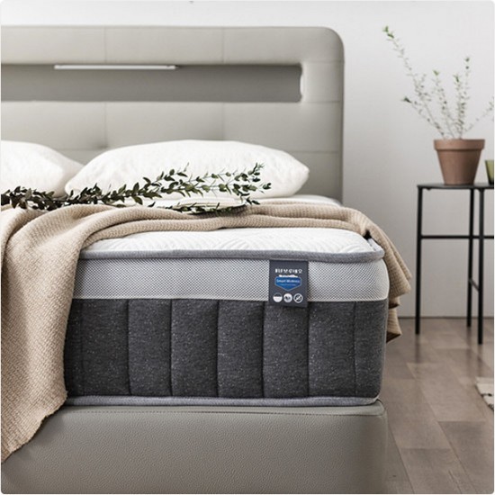 BIF����׿� ���ο� ����Ʈ ���� LED �йи�ħ�� SS+Q