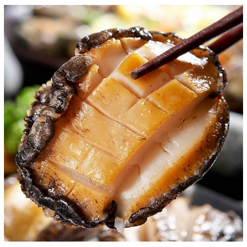 자연맛남 완도 손질 전복숙회 5개(마리) 80g (4개)