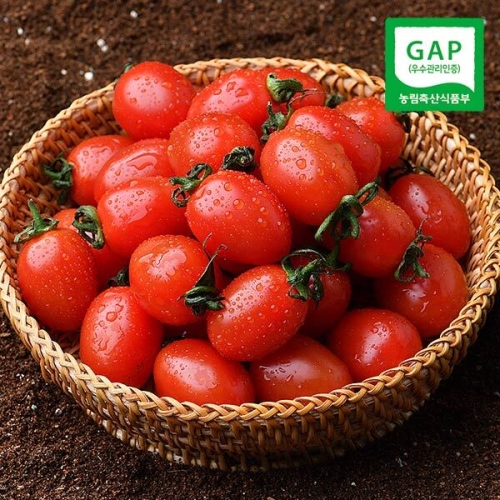 달콤한 대추방울토마토 5kg 로얄과/1-3번과