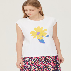 ������ �ö������Ʈ Ƽ���� BATSE2431