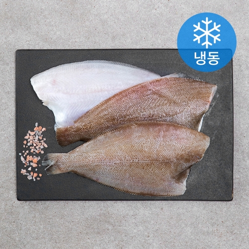 향아수산 제주 가자미 500g (1개)_이미지
