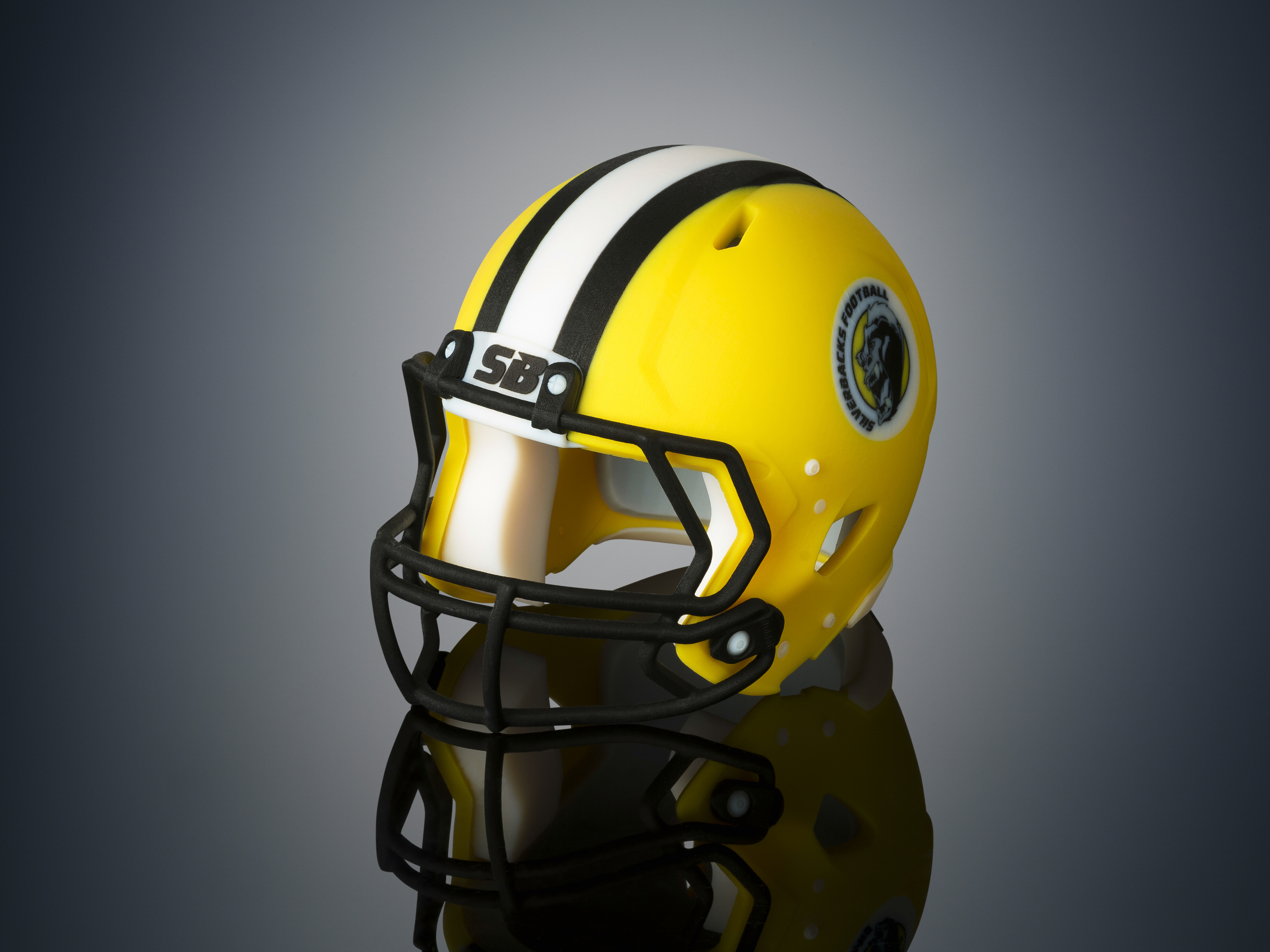 Stratasys Objet500 Connex3_이미지