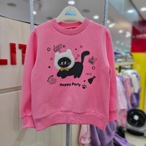 �δ��� ��Ʋ�䵶 sh06 ��������ĹTS ��������ĹTS 254MWP13