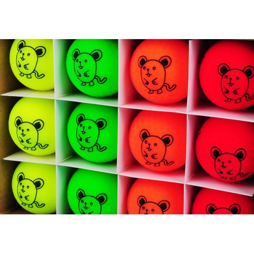 빅야드 롱기스트 12 (컬러공, 24개)_이미지