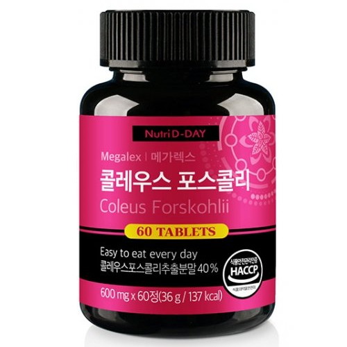 ��Ʈ������ �ް����� �ݷ��콺 �����ݸ� 60��