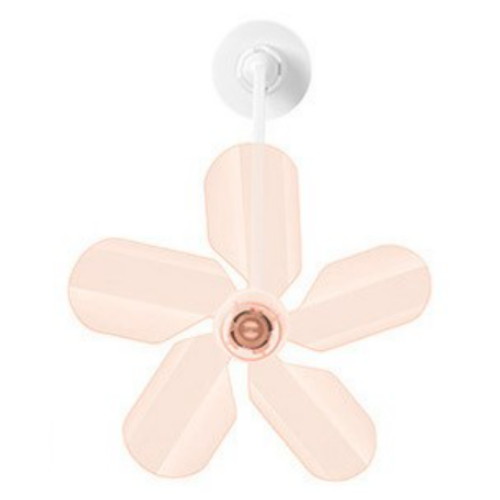 ������Ű ������ ������ �ٶ� �л���