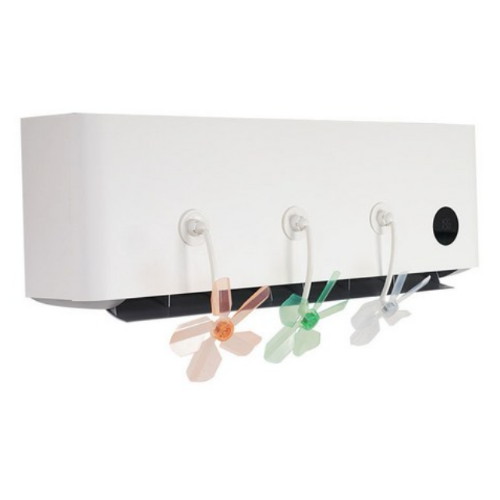 ������Ű ������ ������ �ٶ� �л���