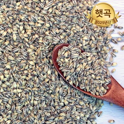 힘찬농부오달봉 국산 흑보리 검정보리쌀 흑찰보리 (1kg,1개)_이미지
