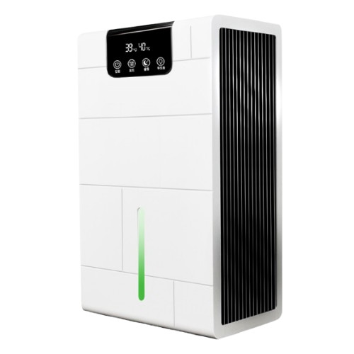NINTAUS 696HG21