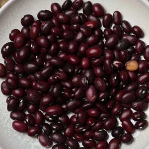 디지팜 울타리강낭콩 2kg [1개]