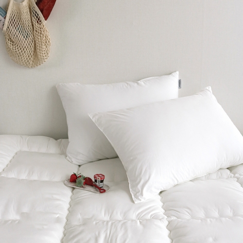 쉐이프 항균 알러지케어 베개커버