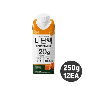 빙그레 더단백 드링크 카라멜 250ml (12개)