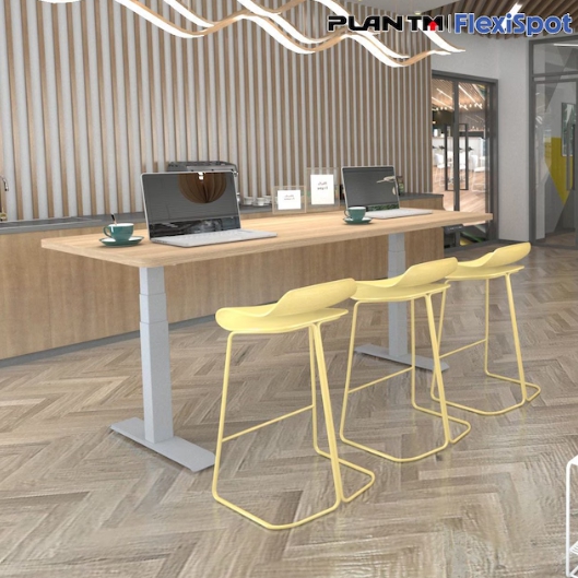 FLEXISPOT �÷�Ƽ�� E7 ������ �������� ��� ���ĵ� å��