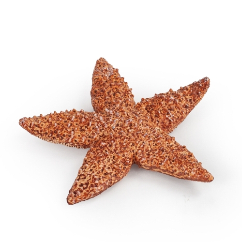 ��� �Ұ��縮 �ǱԾ�