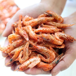 완도 자연산 홍새우 건새우 200g 최상급