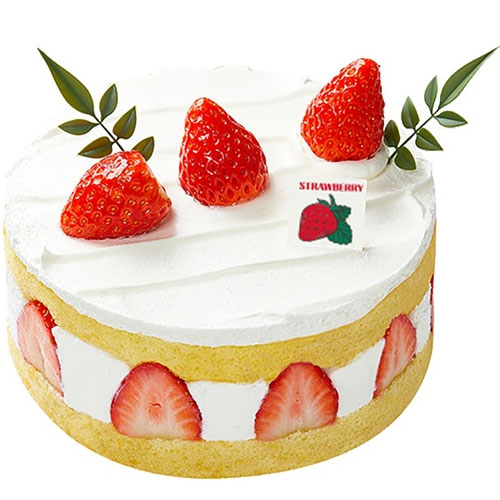 �ĸ��ٰԶ� �Ի����� �������� ����ũ ��ȯ��