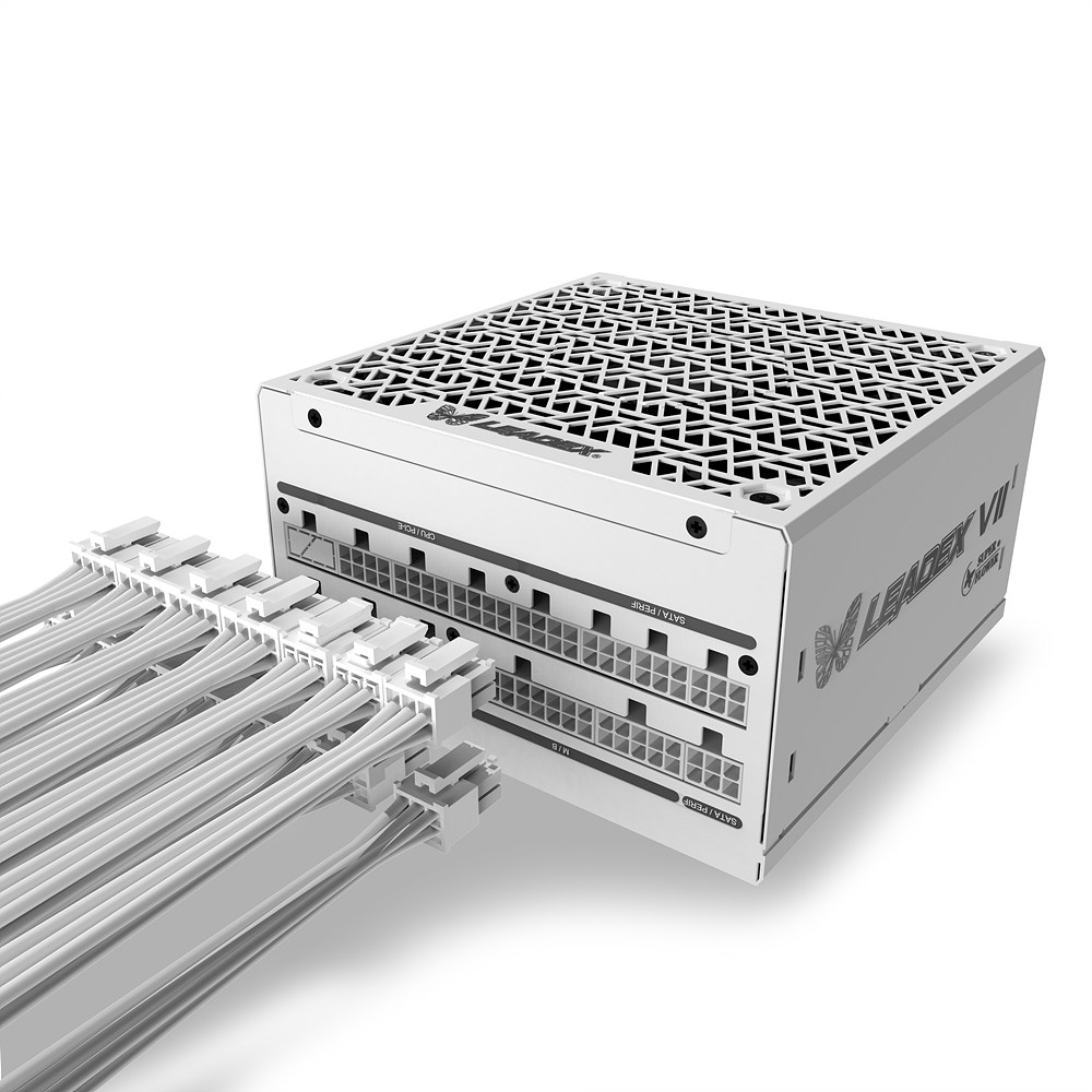 SuperFlower SF-850F14XG LEADEX VII GOLD ȭ��Ʈ ATX3.1